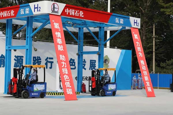 杭(hang)叉集(ji)團(tuán)氫燃料電(dian)池叉車(che)批(pi)量服務(wu)燕山(shān)石化